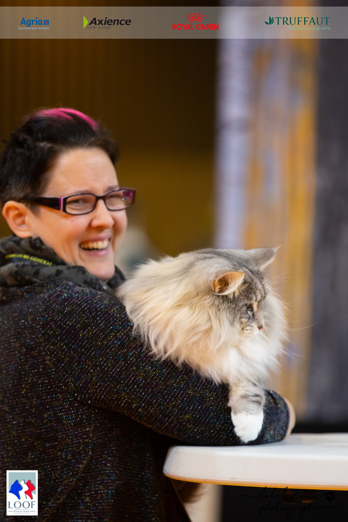 Mâle black silver blotched tabby et blanc, reproducteur élite A à la chatterie CalaDaN