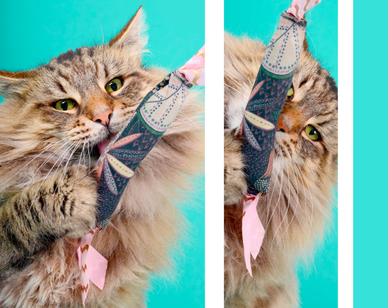 tigrr caladan jouet missclemy